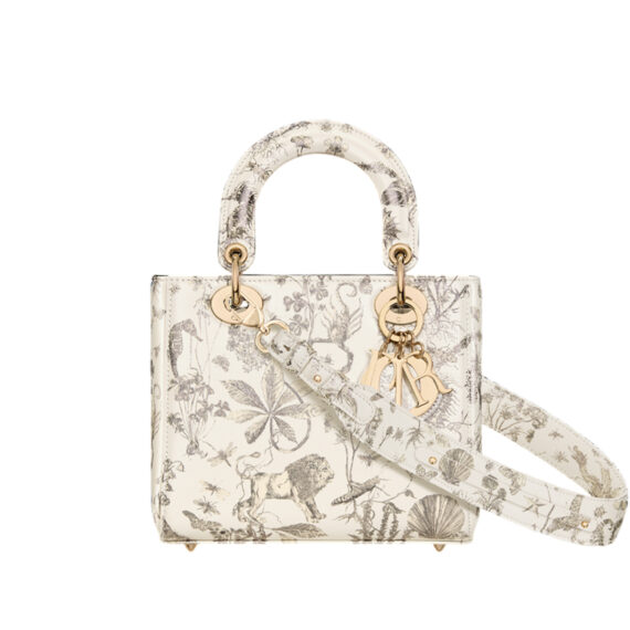 Dior Bag