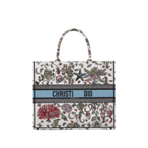 Dior Bag