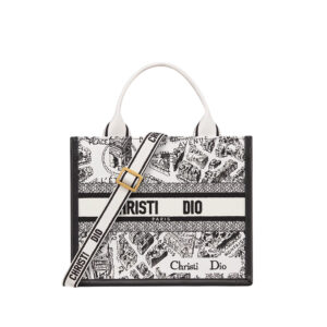 Dior Bag