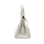 Hermes Bag