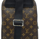 LV Bag