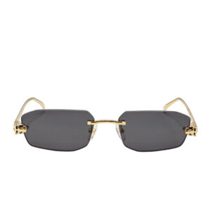 Sunglasses Cartier