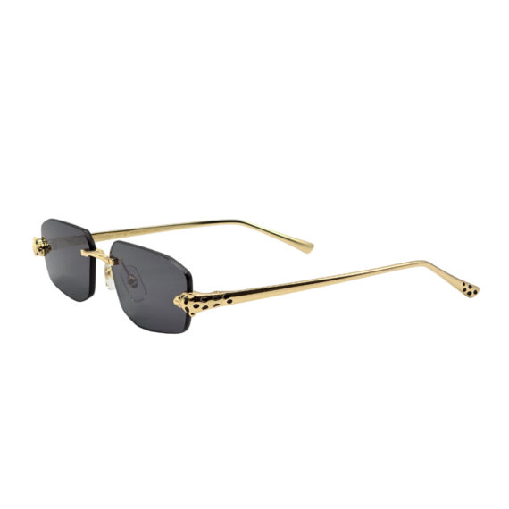 Sunglasses Cartier