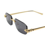 Sunglasses Cartier
