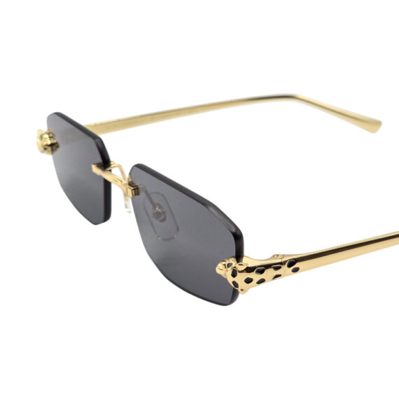 Sunglasses Cartier
