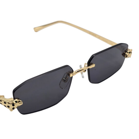 Sunglasses Cartier