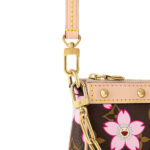 LV Bag