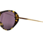 Bottega Veneta Sunglasses