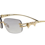 Gentle Monster Sunglasses