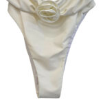 D&G Body