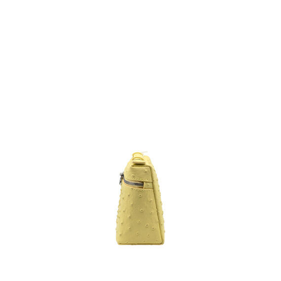 Loro Piana Bag
