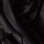Zimmermann Dress