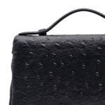 Loro Piana Bag