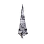 Dior Scarf
