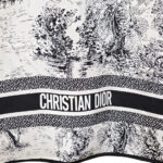 Dior Scarf