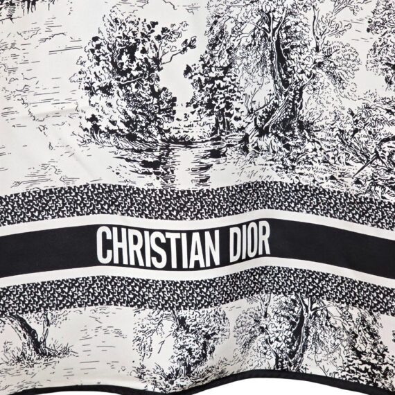 Dior Scarf