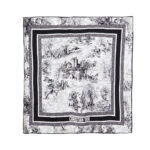 Dior Scarf