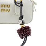 Miu Miu Bag