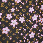 LV Scarf