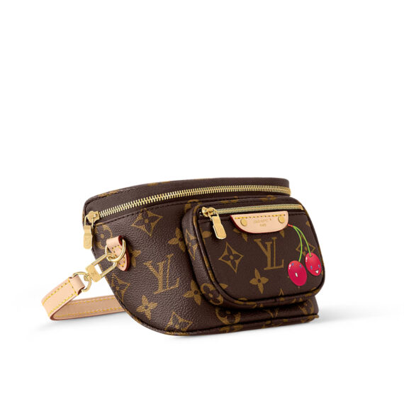 LV Bag