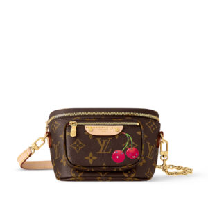 LV Bag