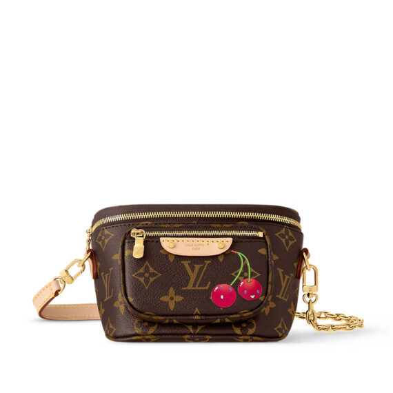 LV Bag