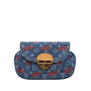 LV Bag