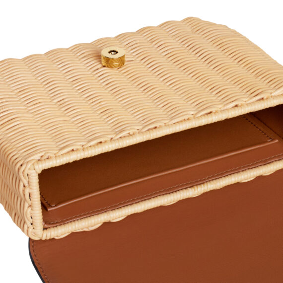 Celine Bag