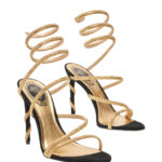 Rene Caovilla Heels