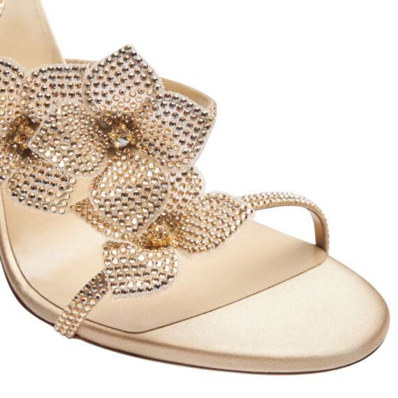 Rene Caovilla Heels