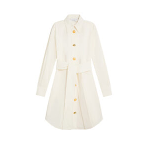 Schiaparelli Dress