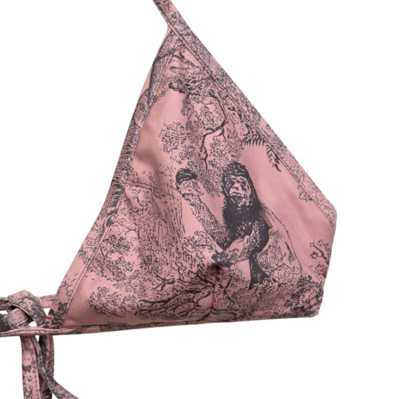 Dior Bikini