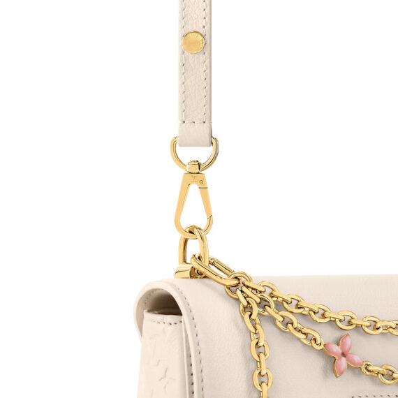 LV Bag