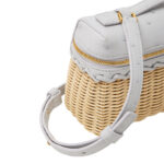 Loro Piana Bag