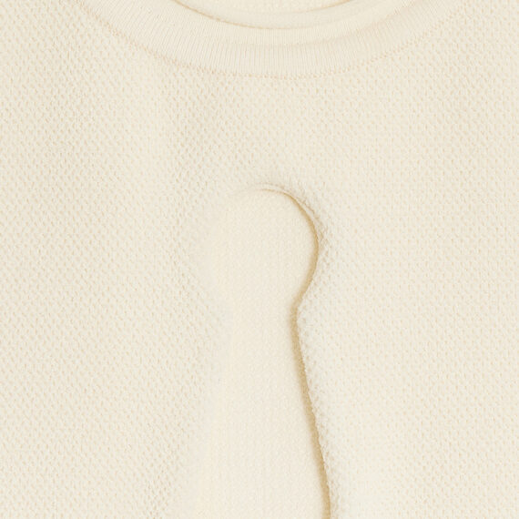 Schiaparelli Dress