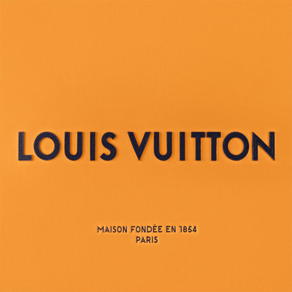 LV Bag
