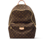 LV Backpack
