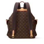 LV Backpack