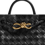 Bottega Veneta Bag