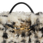 Bottega Veneta Bag
