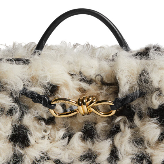 Bottega Veneta Bag